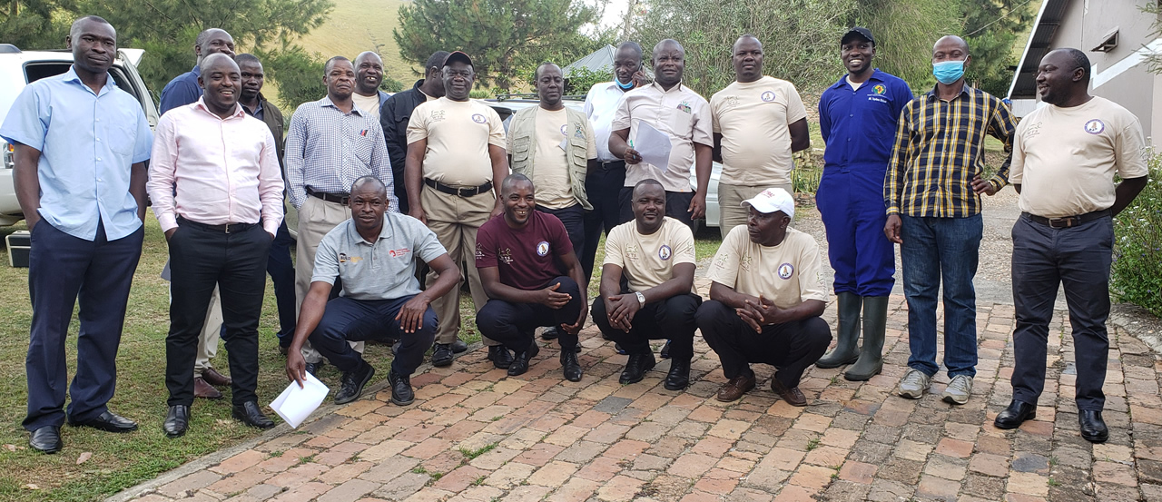 Vet examines pet in clinic